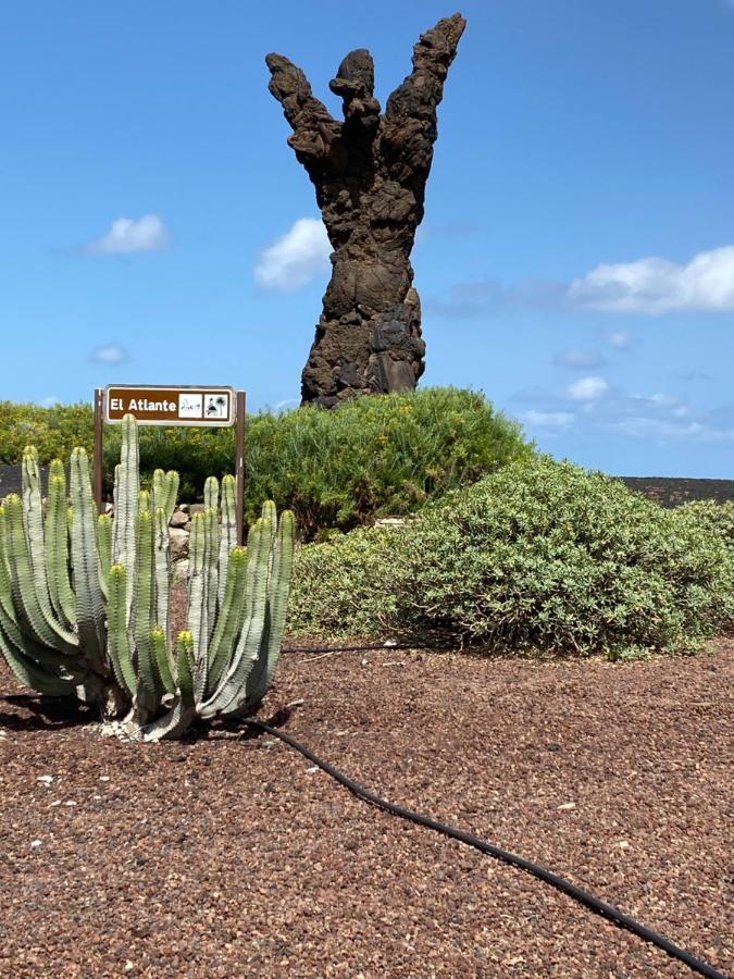 Apartament El Atico Del Mar 5B Las Palmas de Gran Canaria Zewnętrze zdjęcie